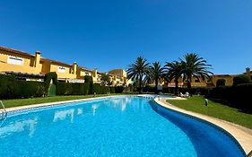Datiler Vybdenia
